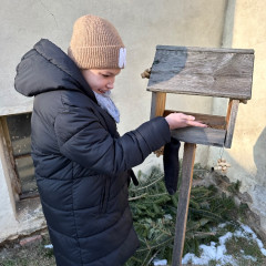 Krmení ptáčků