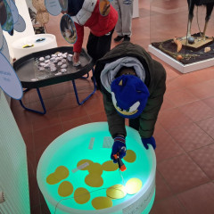 Výstava  -  Jako vejce vejci.