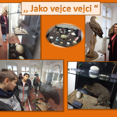 Jako vejce vejci