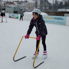Bruslení