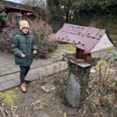 Ptáci hodinka II