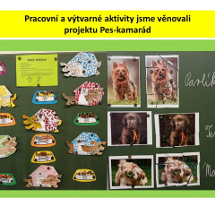 Canisterapie u nás na škole