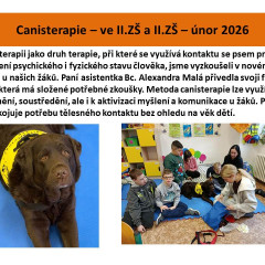 Canisterapie u nás na škole