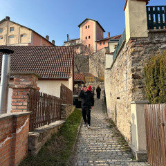 Vycházka městem