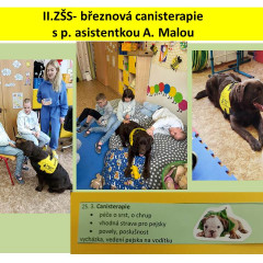 Březnová canisterapie