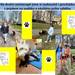 Březnová canisterapie