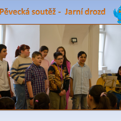 Jarní drozd