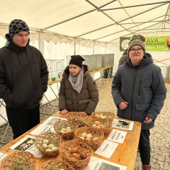 Znojemské velikonoční trhy