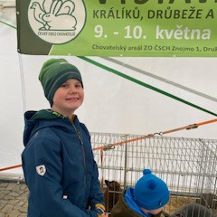 Výstava  králiků a drůbeže