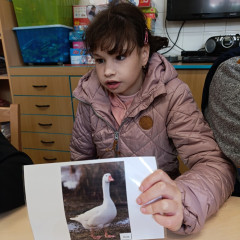 Celoškolní projekt EVVO „Den Země" - aktivity na stanovištích