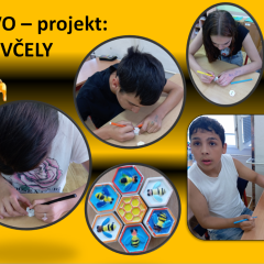 EVVO - Včely