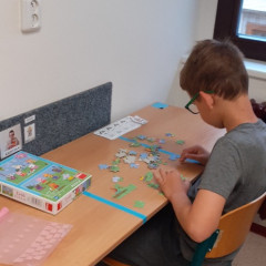 Skládání puzzle