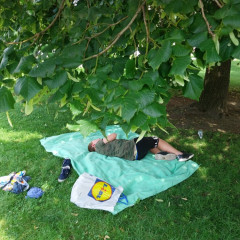Piknik a relax v kolonce