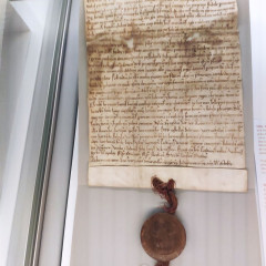 Výstava Tváře města Znojma