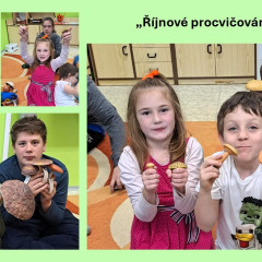 Procvičování hub