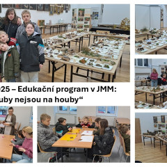 Edukační program v JMM - Houby nejsou na houby