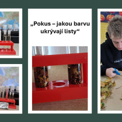 Jakou barvu ukrývají listy - projekt EVVO