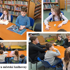Lednová knihovna