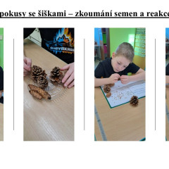 Lednové učení a pokusy