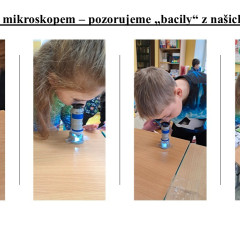 Lednové učení a pokusy