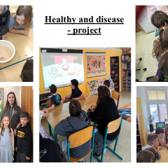 Healthy and disease - projekt