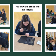 Laboratorní práce