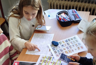 Páťáci a svět financí