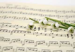 Úspěch našich zpěvaček v okresním kole soutěže Jihočeský zvonek