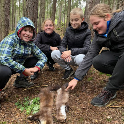Zážitkový LESOprogram třídy 6.B