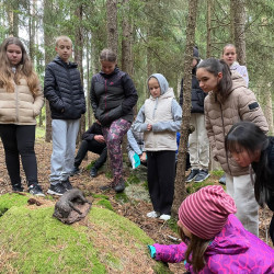 Zážitkový LESOprogram třídy 6.B