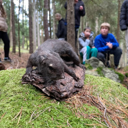 Zážitkový LESOprogram třídy 6.B