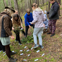 Zážitkový LESOprogram třídy 6.B