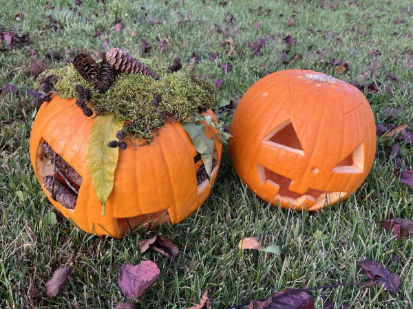 Dýňová zahrada 2025