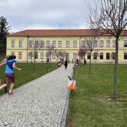 Závod v orientačním běhu ve Vlachově Březí