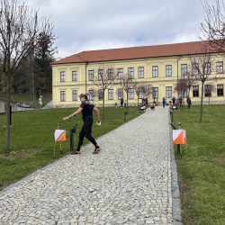 Závod v orientačním běhu ve Vlachově Březí