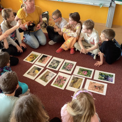 Včely samotářky - program 2.A a 2.B