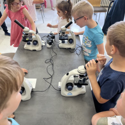Malí badatelé u nás ve škole