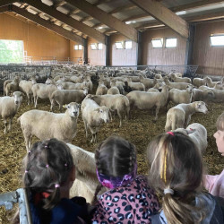 Exkurze druháků na Michlovku