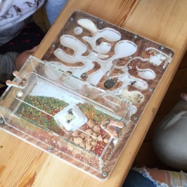 Zážitky ze školní družiny | 