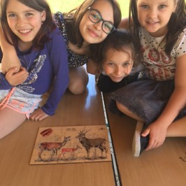 Po stopách zvířat | 