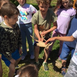 Zážitky ze školní družiny | 