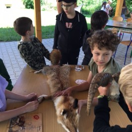 Zážitky ze školní družiny | 