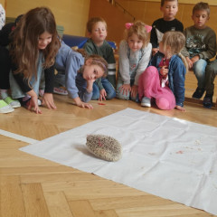 Ze života ježků 2025