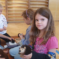 Ze života ježků 2025