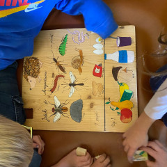 Ze života ježků 2025