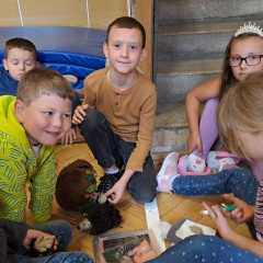 Ze života ježků 2025