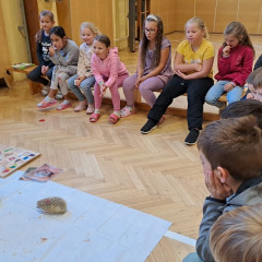 Ze života ježků 2025