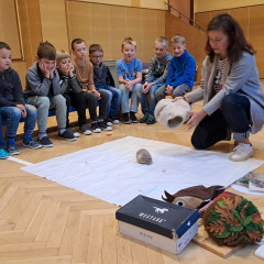 Ze života ježků 2025