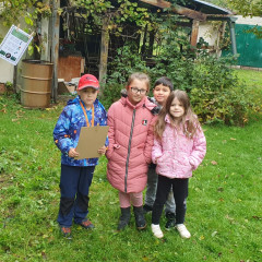Tajenka Lesní stezky ve školní zahradě