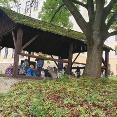 Tajenka Lesní stezky ve školní zahradě